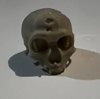 Crâne de Cro-Magnon décoratif — photo 2