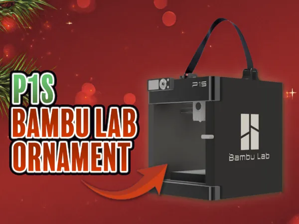 https://makerworld.bblmw.com/makerworld/model/US55f278d5d6ba0d/design/2024-12-01_f986756dce32a.png