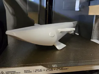 Remora Fish