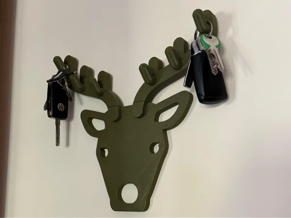 https://makerworld.bblmw.com/makerworld/model/US55f7c00015943b/design/2024-05-18_bceb3cdf98265.jpg
