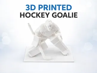 Hockey Goalie