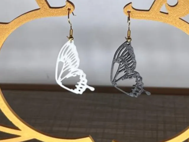 Earrings Art - Wings