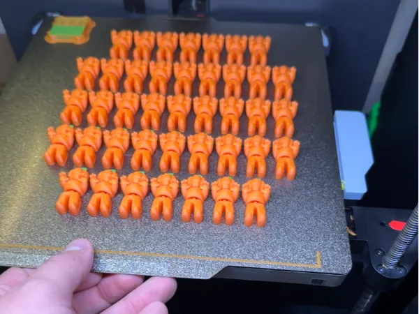 https://makerworld.bblmw.com/makerworld/model/US5601ed62280dd8/design/2025-09-30_2bc48ef9296b48.png