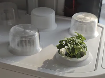 Germination Dome