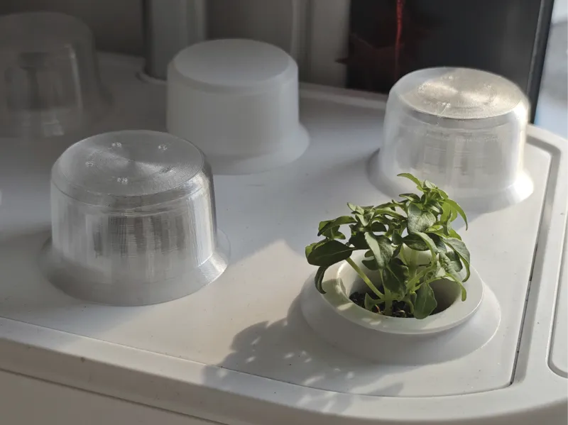 Dôme de germination