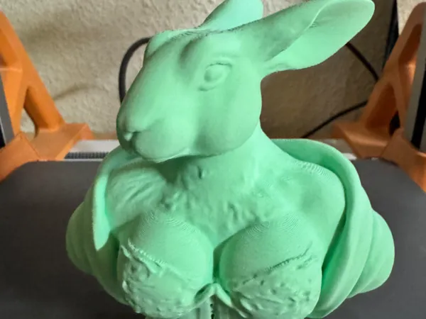 https://makerworld.bblmw.com/makerworld/model/US560b6400a21b0c/design/2025-03-07_e70b5f44b338d8.jpg
