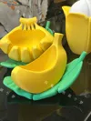 Banana Planter