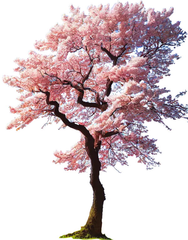 https://makerworld.bblmw.com/makerworld/model/US560d60f366a56e/design/2024-03-30_e68345c9b5064.png
