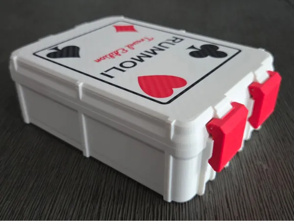 https://makerworld.bblmw.com/makerworld/model/US560f1fca59808d/design/25e4e59e3fc17c36.jpeg