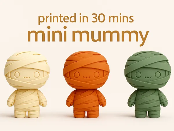 https://makerworld.bblmw.com/makerworld/model/US5613879f0453f1/design/2025-09-23_095c9fb70a71a.png