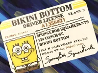 SpongeBob Driver License