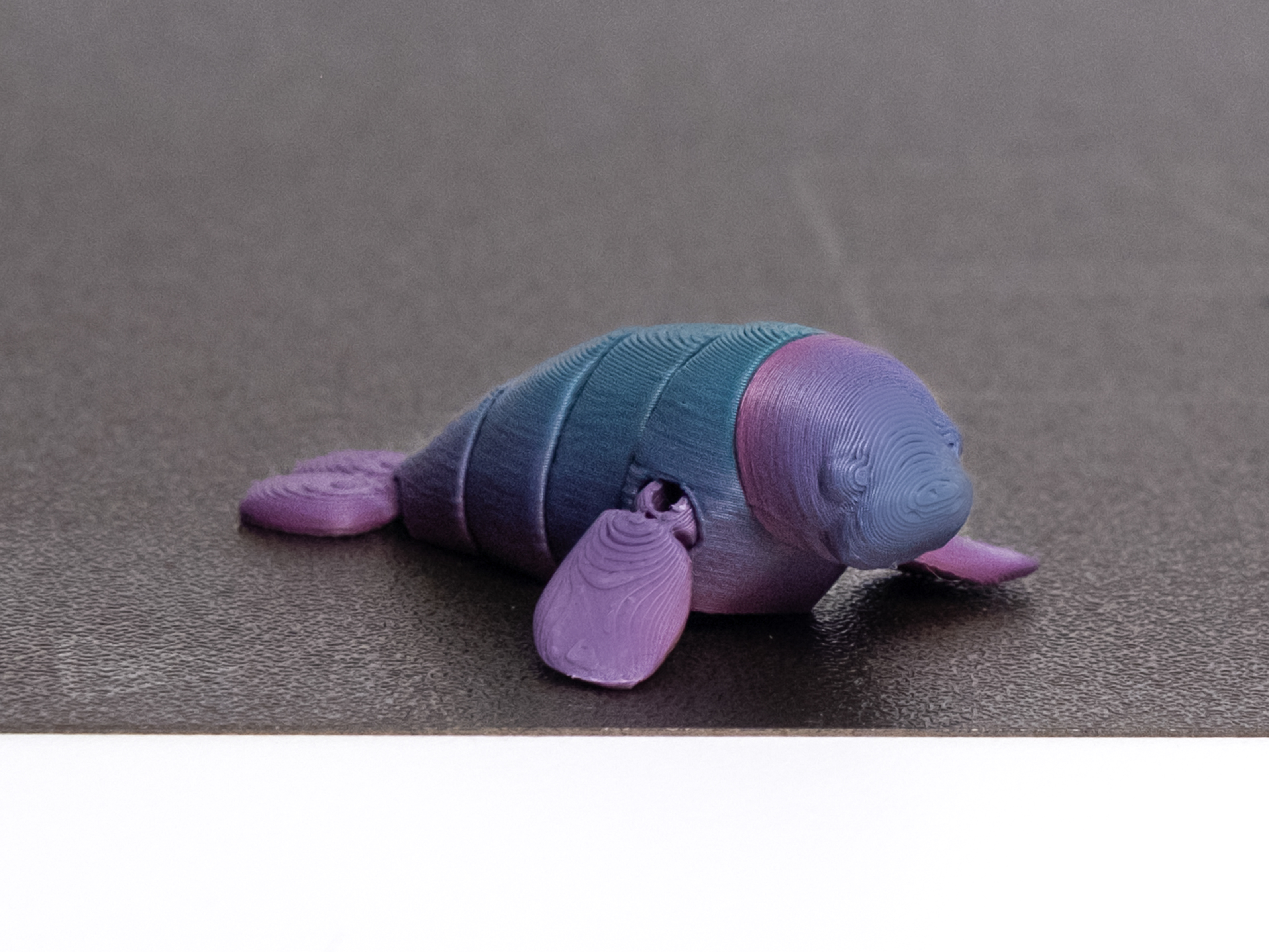 Miniatura 1 do modelo 3D Flexi manatee- Articulated