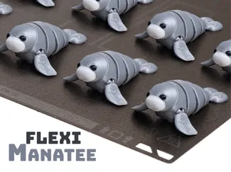 Flexi manatee- Articulated