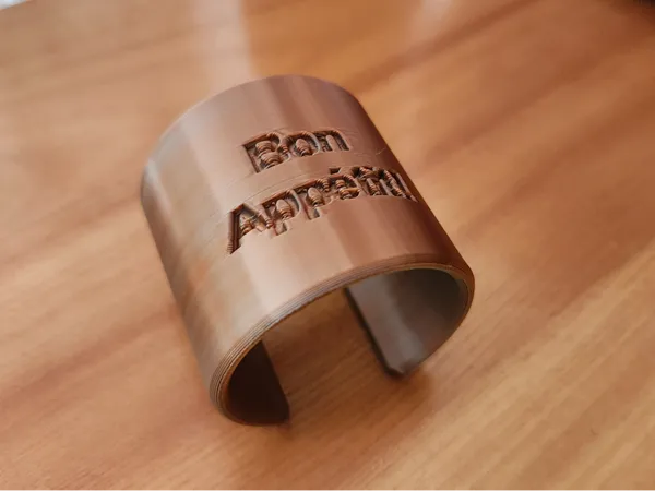 https://makerworld.bblmw.com/makerworld/model/US5617b185295211/design/2025-01-10_07c9be1577da5.jpg