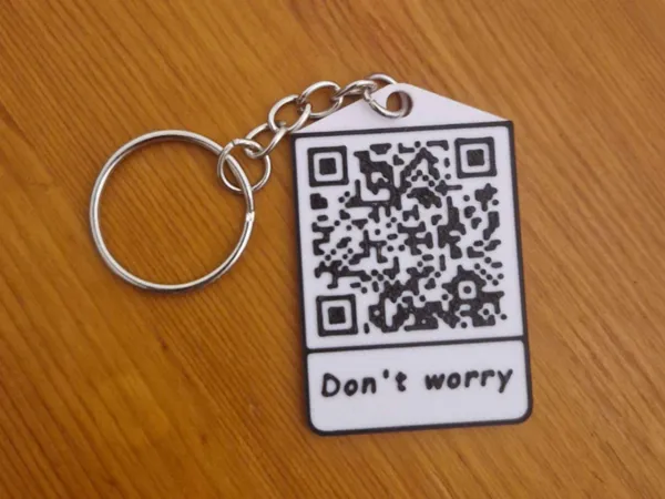 https://makerworld.bblmw.com/makerworld/model/US561ba06d477558/design/2025-01-03_1f5ff37e4fd01.jpg