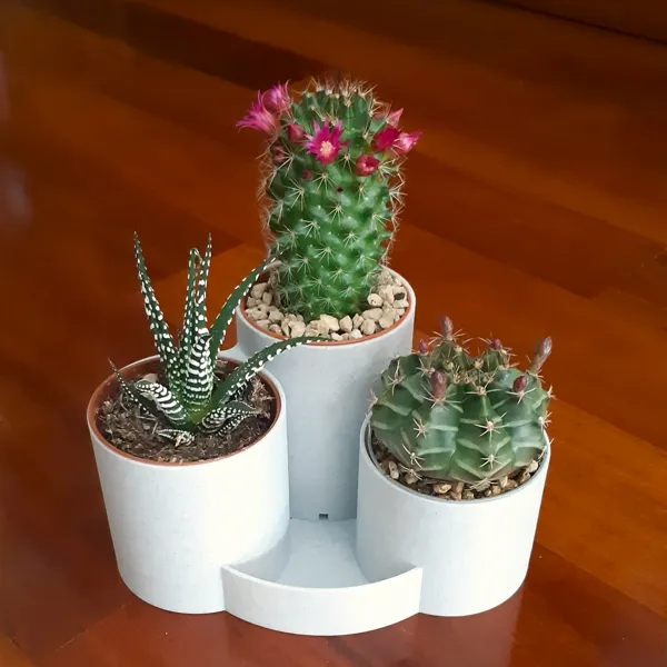 https://makerworld.bblmw.com/makerworld/model/US561c9ac1c1270/design/2023-10-25_cf2819a2ec0c8.jpg