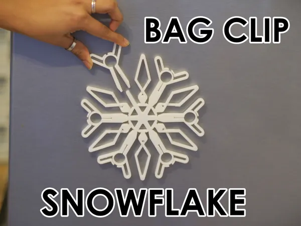 https://makerworld.bblmw.com/makerworld/model/US561e87b503849f/design/2025-12-22_3610c295875f18.jpg