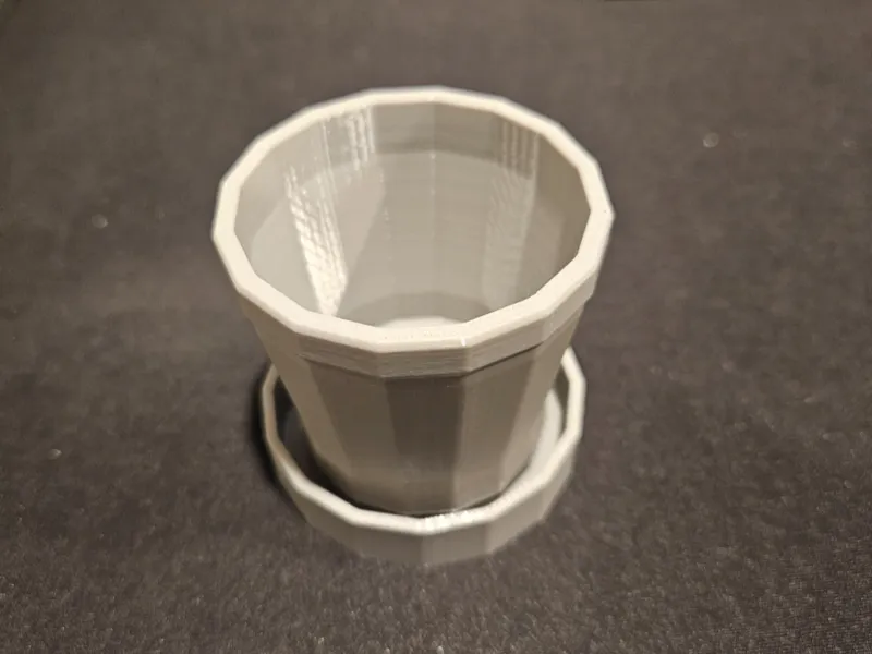 Starter Flower Pots