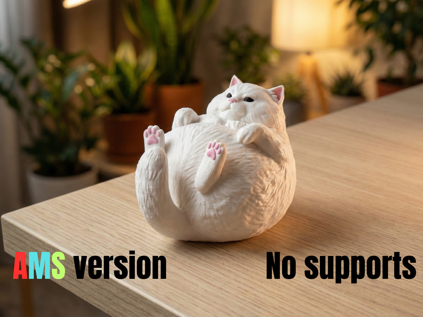 Chonky Cat