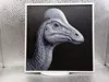 Hypacrosaurust_170x170_P1S