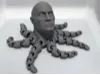 the rocktopus