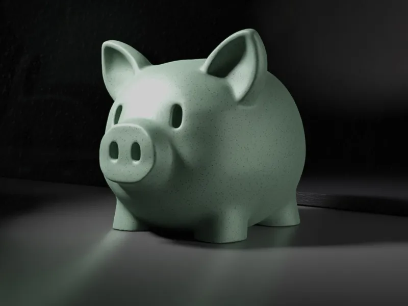 Minimalist Cute Piggy Bank | Easy, minimal suport