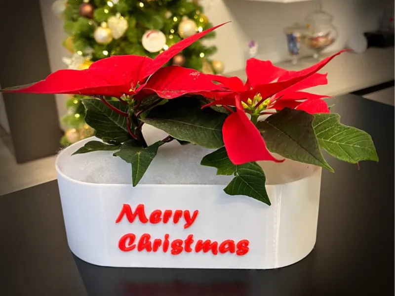Christmas Vase