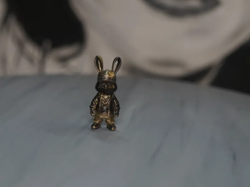 rabbit with fullcap