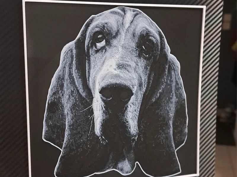 Tête Basset Hound