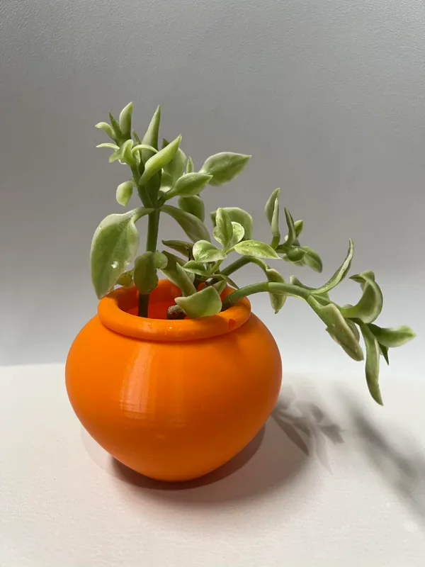 https://makerworld.bblmw.com/makerworld/model/US5642c0d8d96f0d/design/2023-11-05_1f37086bbffb5.jpg