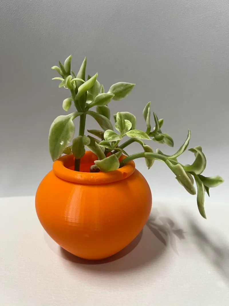 Hanging succulent pot