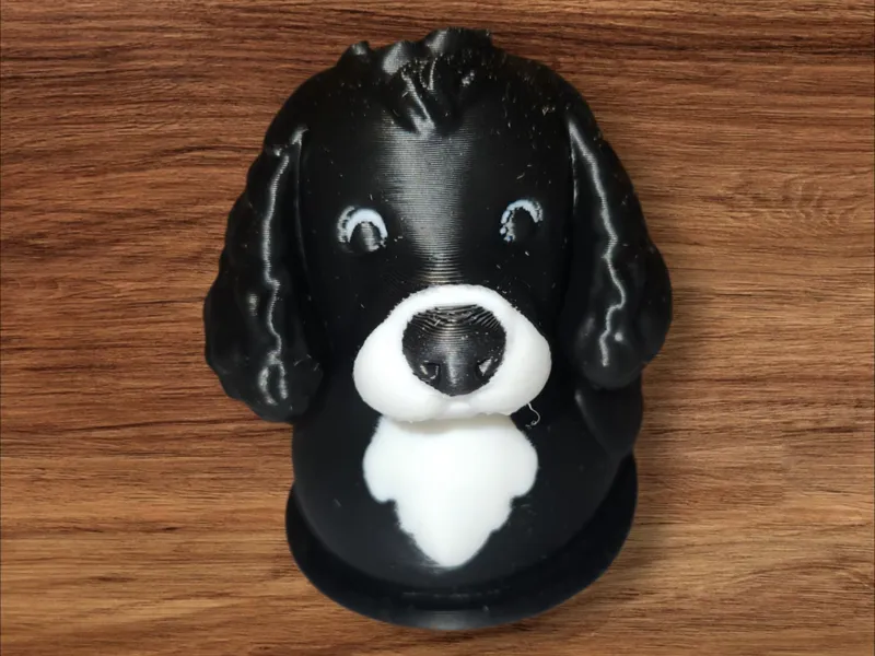 Cocker Spaniel Duck