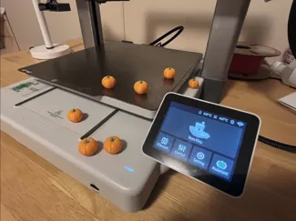Mini Pumpkin