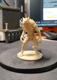 0.2mm nozzle, 0.1mm layer, 4 walls, 8% infill