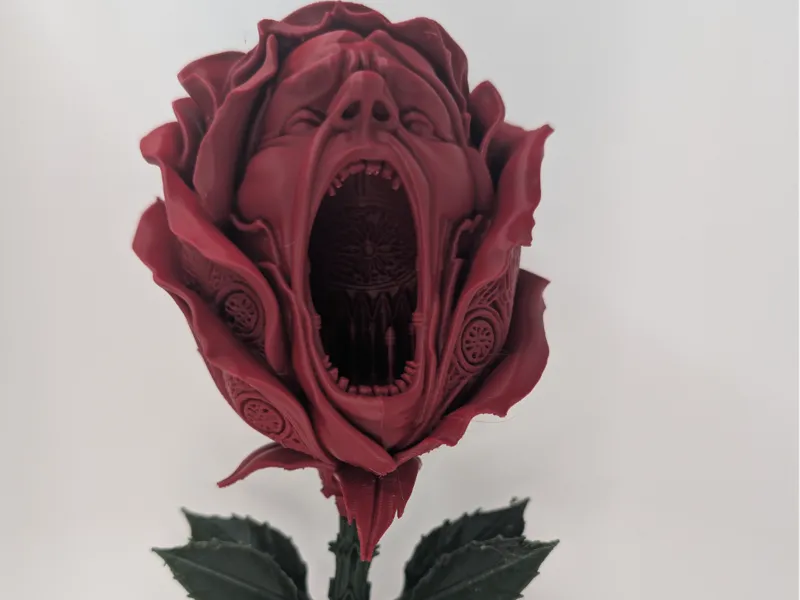 The Yawning Rose