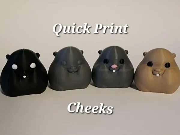 https://makerworld.bblmw.com/makerworld/model/US5655c1ad4e65fd/design/2025-02-28_617ecaf5dc57a.jpg