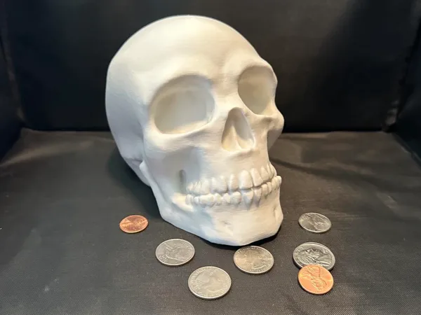https://makerworld.bblmw.com/makerworld/model/US5657bb85fd4ed0/design/2024-06-27_5e14038f39333.jpg