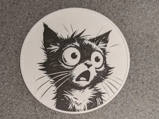 Shocked Cat Coaster 3