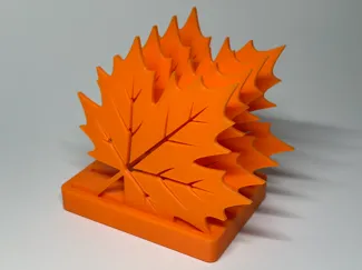 Maple Leaf Coaster Set