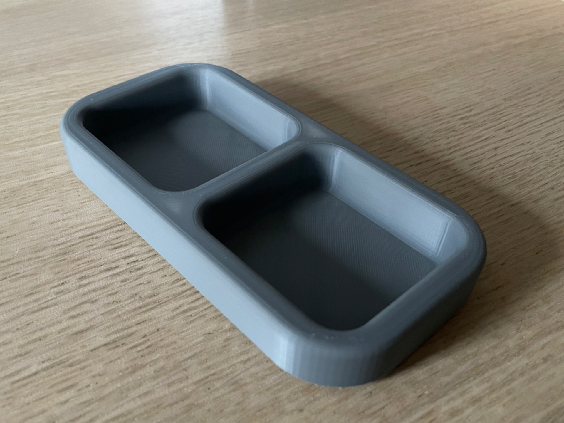 Modern Tray With 2 Compartments