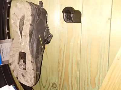 Shoe hook