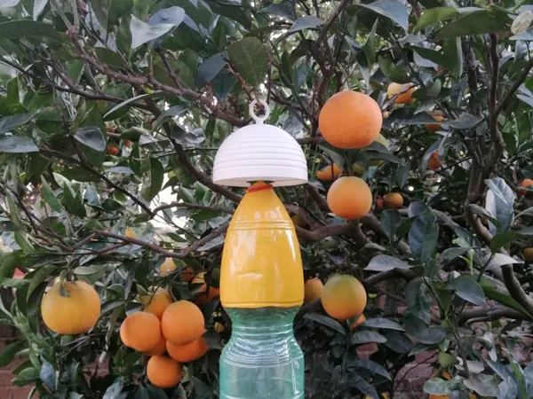 https://makerworld.bblmw.com/makerworld/model/US5660cece329df0/design/2025-11-21_8c4b28a2c8142.jpg