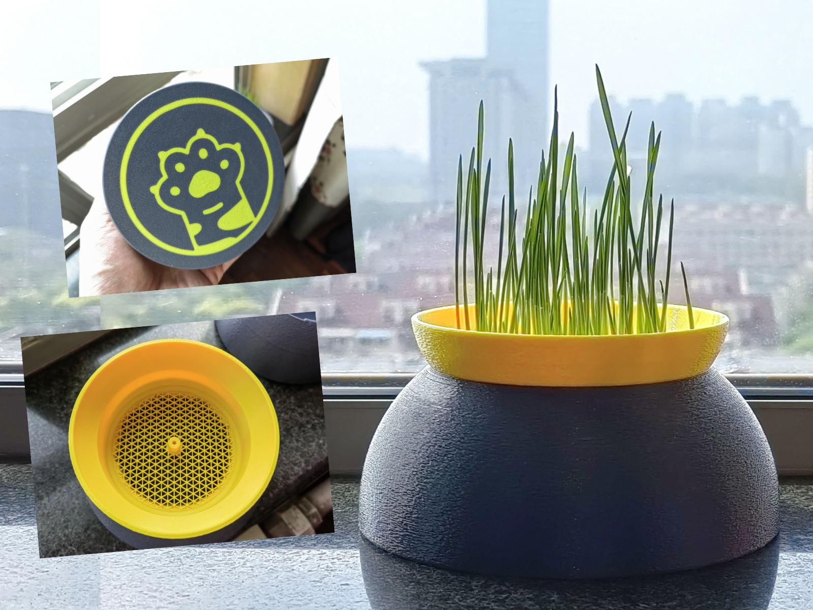 Pet Su Kasesi Kedi Çim Hidroponik Pot için Anti-Dövme