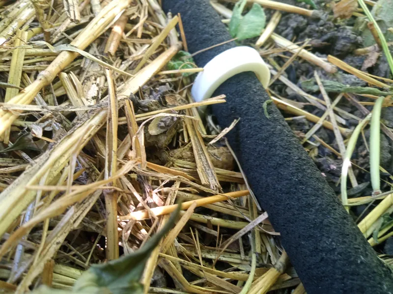 Drip Irigation Hose Holder Stake