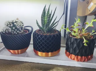 Dual Color Modern geometric succulent plant pot