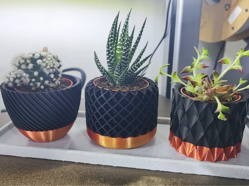 Dual Color Modern geometric succulent plant pot