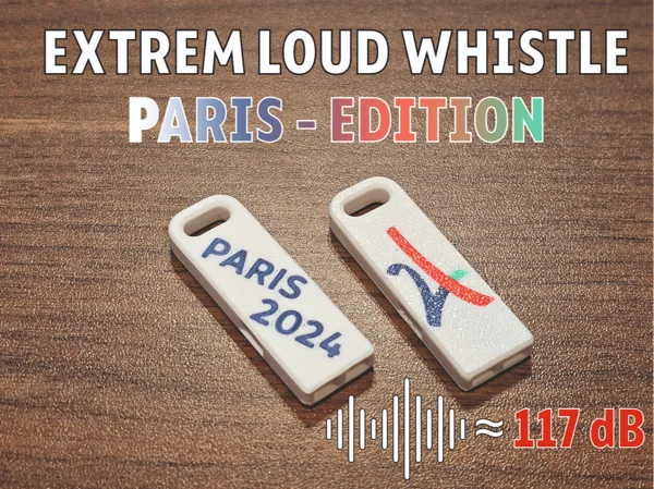 https://makerworld.bblmw.com/makerworld/model/US56663781d22393/design/2024-07-10_4aa9c8b105e9d.jpg
