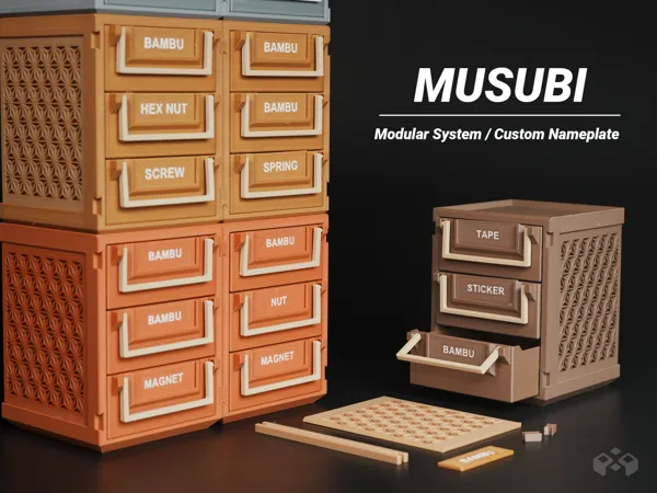 https://makerworld.bblmw.com/makerworld/model/US566f18c80d465c/design/2025-03-15_34c938128e28c.png