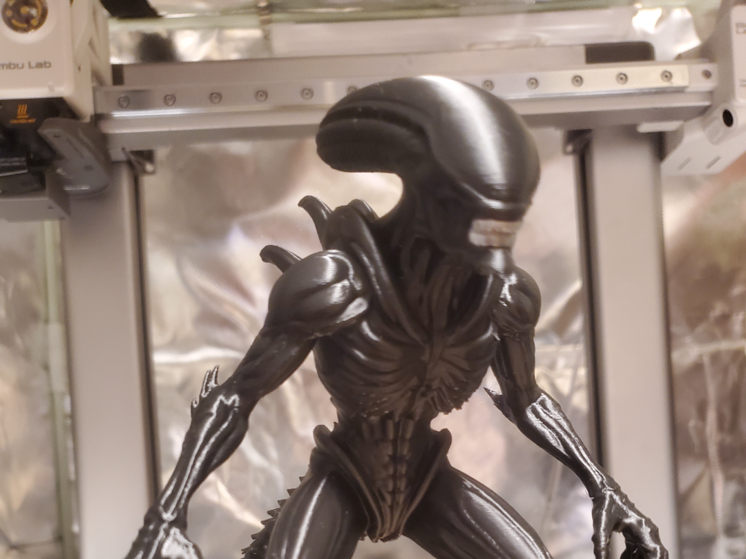 Alien (xenomorph)