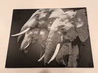 Groupe d'éléphants lithophanie — photo 2